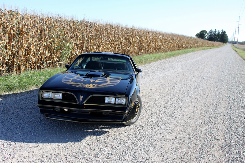 Illustration for article titled Trans Am Photoshoot 2016